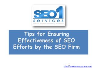 Tips for Ensuring Effectiveness of SEO Efforts by the SEO F