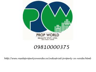 Industrial Property For Sale In Noida