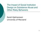 The Impact of Social Institution Design on Substance Abuse and Other Risky Behaviors