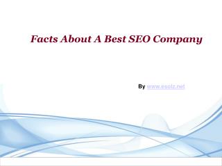 Best SEO Company's Service For You