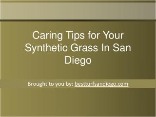 Caring Tips for Your Synthetic Grass In San Diego