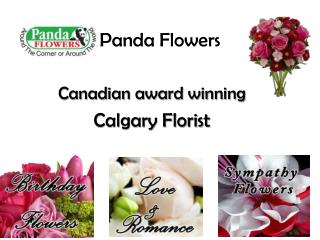 Flowers Delivery Calgary Online at PandaFlowers