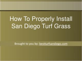 How To Properly Install San Diego Turf Grass