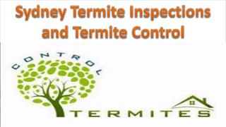 Sydney Termite Inspections and Termite Control