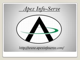 NYC SEO- Apex Info-Serve