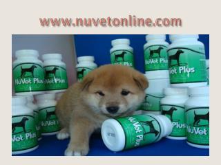 NuVet Plus – Building Your Pet’s Healthy Bones And Joints