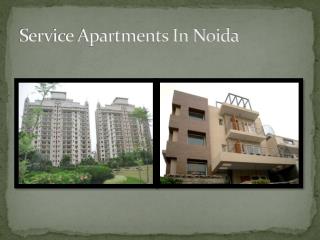 service apartments in noida