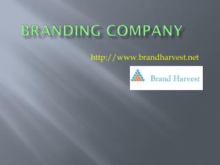 Branding Company