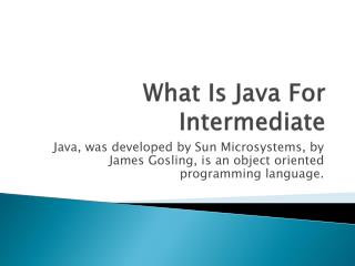 What Is Java