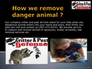 How we remove danger animal ?