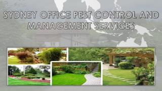 Sydney Commercial Pest Control