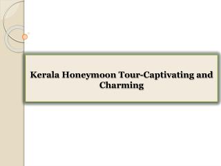 Kerala Honeymoon Tour-Captivating and Charming