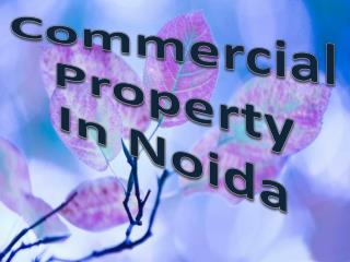 Resale Property In Noida