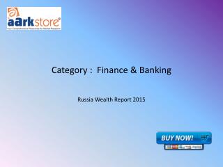 Russia Wealth Report