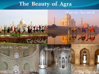 The Beauty of Agra with Taj Mahal and its History - Day Tour