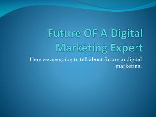 Future Of Digital Marketing Experts