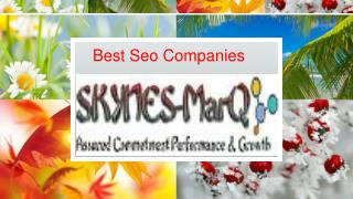 Best Seo Company in India,Top Seo Company
