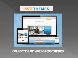 Clean Designed Free WordPress Themes That Look Modern