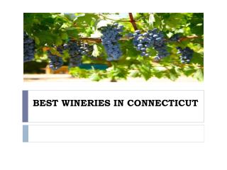 BEST WINERIES IN CONNECTICUT