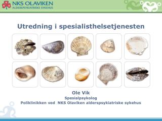 Utredning i spesialisthelsetjenesten