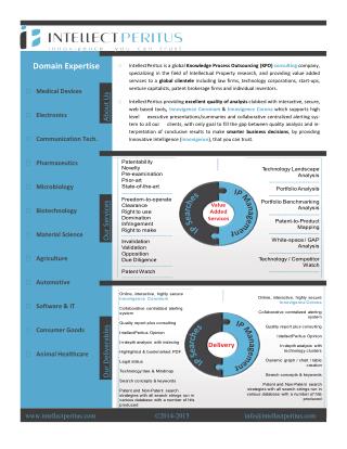 IntellectPeritus Comapny Overview