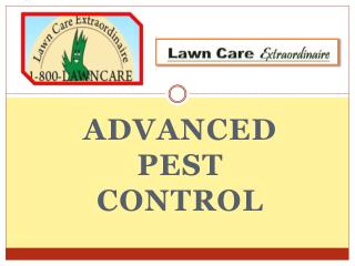 Lawn pest control