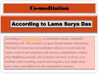 Co-meditation According to Lama Surya Das