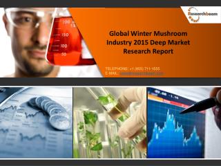 In Depth research Report Global Winter Mushroom Industry 2015