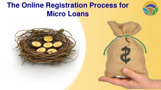 Online Registration Process for Micro Loans