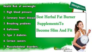 Best Herbal Fat Burner Supplements To Become Slim And Fit