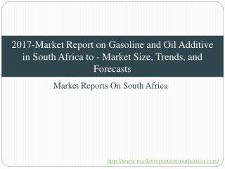 2017-Market Report on Gasoline and Oil Additive in South Africa