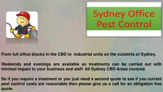 Office Pest Control Service