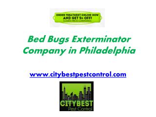 Quality Bed Bugs Exterminator Services in Philadelphia by City Best Pest Control