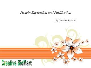 Creative BioMart protein expression service