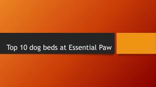 Top 10 dog beds at Essential Paw