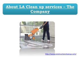 About LA Clean up services – The Company