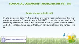 Potato Storage in Delhi NCR & Potato Storage in India