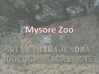 Mysore Zoo Near at Indiranagar - Get Timings, Entry Fee, Photos