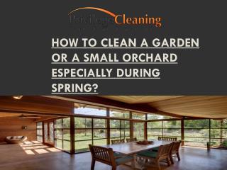 How to Clean a Garden or a Small Orchard Especially During Spring