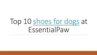 Top 10 shoes for dogs at EssentialPaw