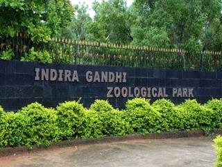 Indira Gandhi Zoological Park at Visakhapatnam – Timings