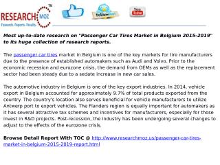 Passenger Car Tires Market in Belgium 2015-2019