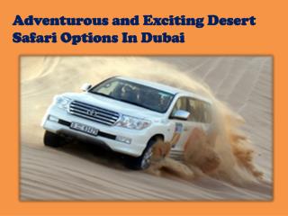 Exciting Desert Safari in Dubai