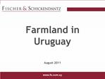 Farmland in Uruguay August 2011