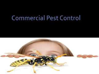 Commercial Pest Control