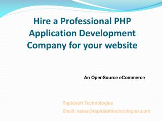 Hire a Professional PHP Application Development Company for your website