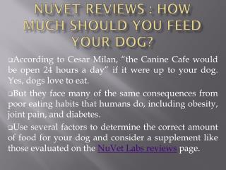 NuVet Reviews : How Much Should You Feed Your Dog?