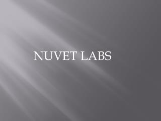 How Does NuVet Plus Improve a Dog’s Skin and Coat?