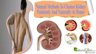 Natural Methods To Cleanse Kidney Painlessly And Naturally At Home