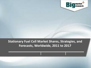 Stationary Fuel Cell Market Shares, Strategies, and Forecasts, Worldwide, 2011 to 2017